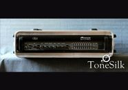 Ampeg SVT III