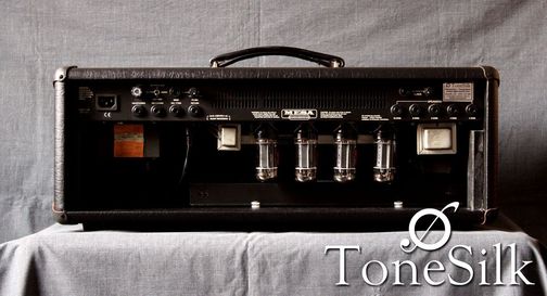 Mesa Boogie DC10 head back