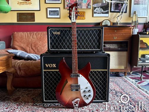 Rickenbacker 330 FG